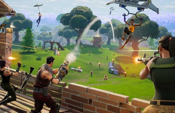 Fortnite: an online multiplayer game